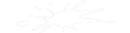 splat